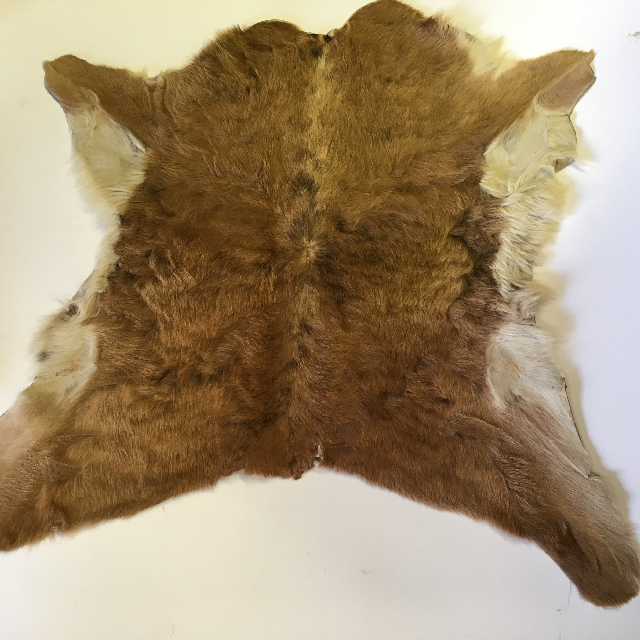 ANIMAL HIDE, Goat - Brown (woolly)